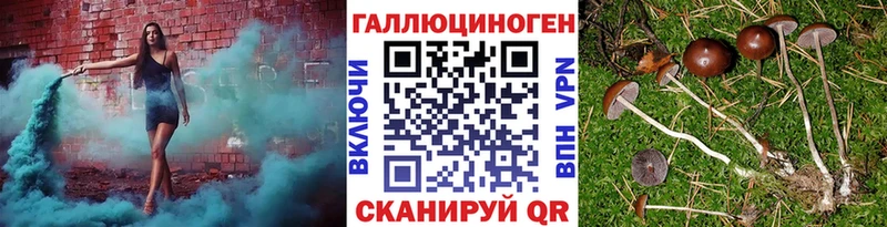 Галлюциногенные грибы Magic Shrooms  Бор 